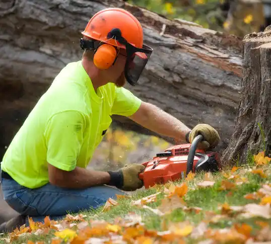 tree services Walton